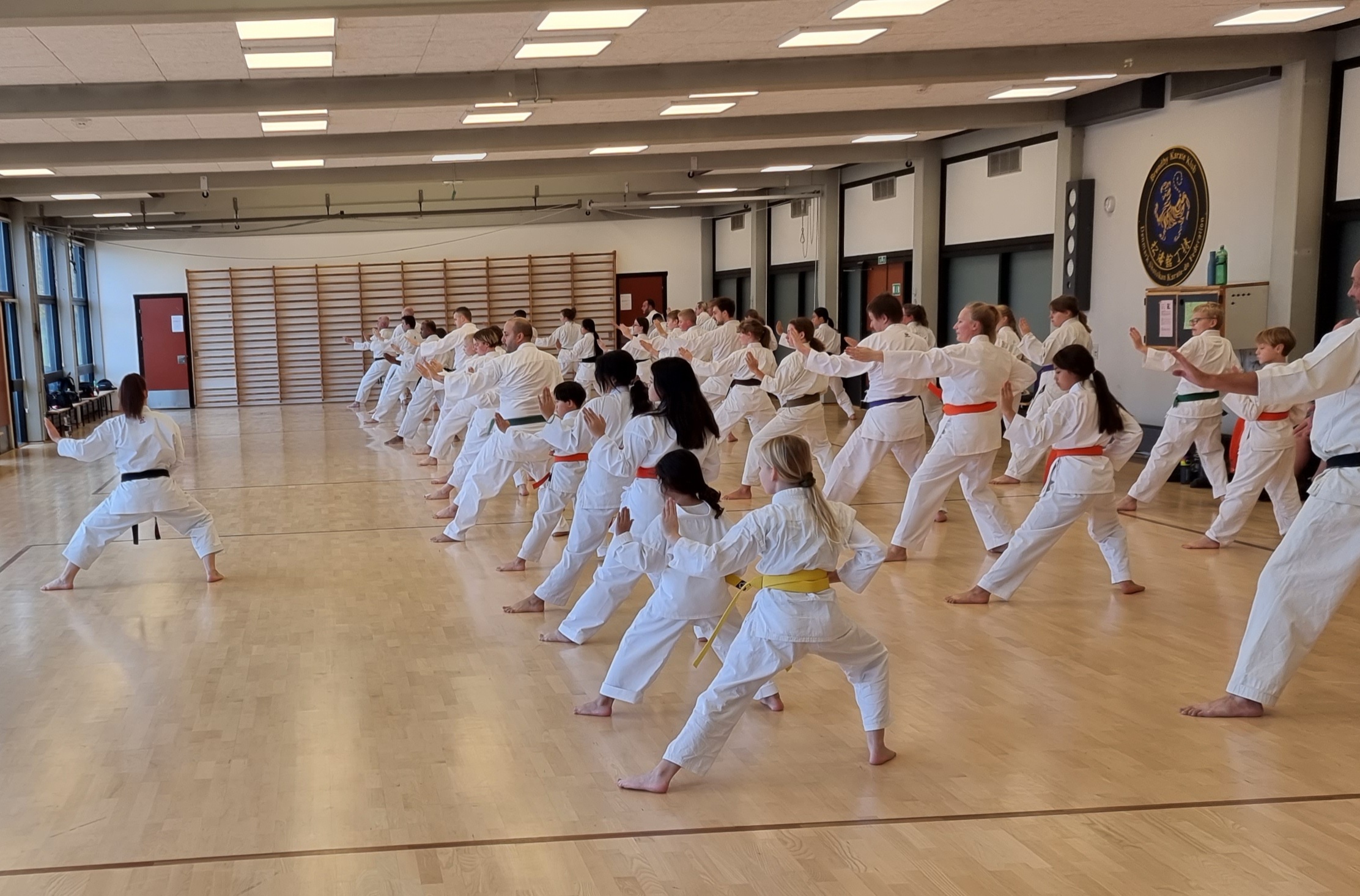 Børn og voksne træner karate i Brøndby Strand